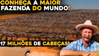 ESSA É A MAIOR FAZENDA DO MUNDO  10 MILHÕES DE HECTARES [upl. by Ajna853]