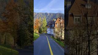 Switzerland 🇨🇭 Caux Paccot video travel switzeland nature mountains shortvideo sunset [upl. by Hube]