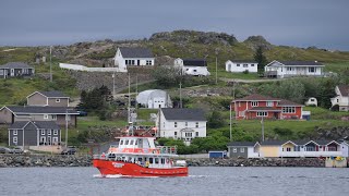 Twillingate Iceberg Tour [upl. by Keene]