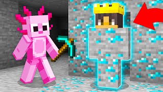 I Pranked My Friend With a SHAPESHIFT Mod in Minecraft [upl. by Noislla]