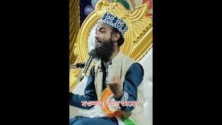 মন পাগল করার মত ওয়াজ। Moulana Abul Taher trendingwazabutaher abutaherviralwaz [upl. by Egduj]