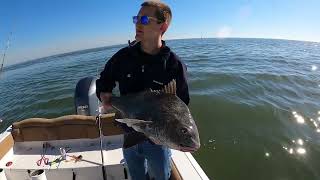 We got all kinds of drum today peeps Fishing Fort Clinch Jetties FB with Monty and Jordan [upl. by Yaker148]