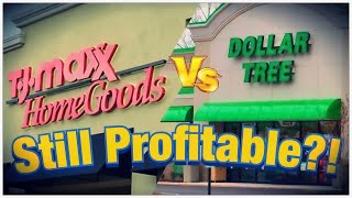 Can TJ Maxx And Dollar Tree Still Be Profitable In 2024 As They Were In 2020 [upl. by Ainnat]