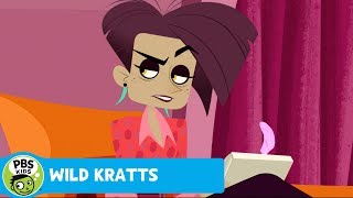 WILD KRATTS  Donitas New Suit  PBS KIDS [upl. by Andrews563]