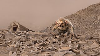 Mars Perseverance Rover Released New 4k Video Footage of Mars  Sol 1111  Mars 4k Video  Mars 4k [upl. by Lynnelle]