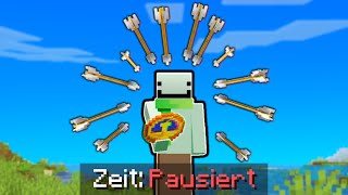 Minecraft aber ich kann die Zeit Stoppen [upl. by Rema]