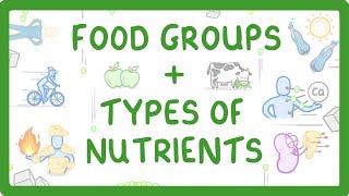 GCSE Biology  What are Nutrients Carbohydrates Lipids Proteins Vitamins amp Minerals 15 [upl. by Story2]