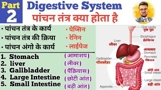 Digestive System In Hindi  पाचन तंत्र  Stomach  Liver  Small Intestine  Large Intestine  HCL [upl. by Doownil474]