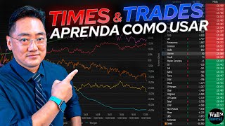 Como usar a EVOLUÇÃO NO TEMPO para o Day Trade  TIMES amp TRADES [upl. by Hobard684]