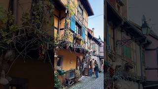 Eguisheim Xmas Market  Open Nov 26th till Dec 30th [upl. by Neerihs]