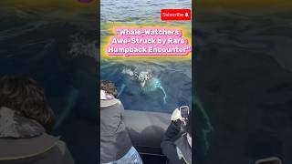 WhaleWatchers AweStruck by Rare Humpback Encounter USAUKEuropeCanadaAsiaUAEIndiaAustralia [upl. by Anna-Diana]