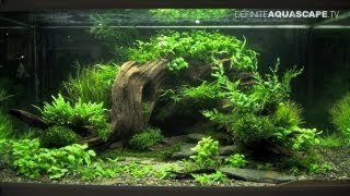 Aquascaping  The Art of the Planted Aquarium 2013 XL pt2 [upl. by Alohcin]