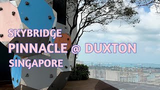 Singapore  Pinnacle  Duxton Skybridge Skygarden Skypark Sky Bridge Hidden Gem [upl. by Assenab]