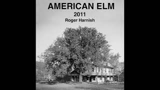 American Elm [upl. by Evaleen86]