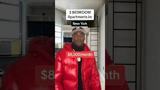 3 Bedroom Apartment costs in different states🤣 shorts apartment realestate [upl. by Aseral141]