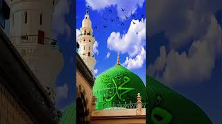 Phool khilte hai pdh pdh kr sallealaislamicvideoyoutubeshortsdeenkiibatenaatshareef [upl. by Haggar]