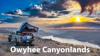 Owyhee Canyonlands  Epic overlanding trip to Oregon with my Jeep Gladiator [upl. by Neerual]