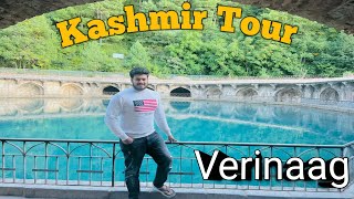 Verinag Famous Mughal Garden  jhelum river kashmir  Thesistersvlog786 [upl. by Ailey]