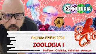 REVISÃO ENEM 2024  Zoologia I [upl. by Oned]