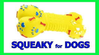 Dog Squeaky Toy  Sounds that attract dogs prankyourdog squeaky [upl. by Eenad]