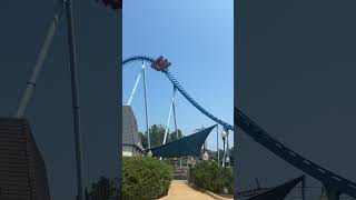 “GRIFFON” Roller Coaster Busch Garden Williamsburg Virginiatrending highlights rollercoaster [upl. by Annayk]