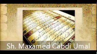 Tafsiir Surah 103 AlCasr ۞ Sh Maxamed Cabdi Umal [upl. by Einiar]