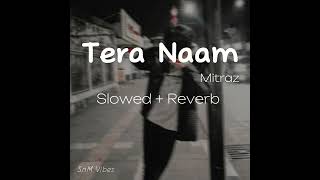 Tera Naam  Slowed  Reverb  Anmol A amp Mitraz  SnM Vibes [upl. by Zoilla973]