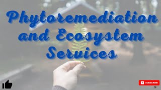 Phytoremediation and Ecosystem Services [upl. by Shult175]