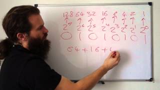 Number systems Decimal Binary and Hexadecimal [upl. by Ellahcim261]