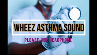 Asthma Sound Wheezing sound  Lung sounds in asthma [upl. by Berns]