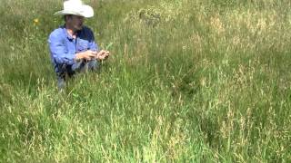 Rangeland Trend Monitoring [upl. by Monika]