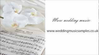 Canon in D Pachelbel  Wedding Processional Music [upl. by Garbe462]