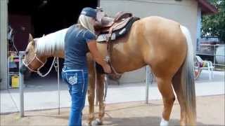 SKIP N MAGIC AQHA Palomino mare for sale [upl. by Alleon]