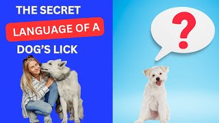 The Secret Language of a dogs licks why does my dog lick [upl. by Keen]