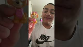 TODAYS VIDEO WE ARE OPENING PLAYMOBIL BLIND BAGS PAW PARTOL MIGHTY PUPS BLIND BAGS PAW PARTOL MINIS [upl. by Longfellow]