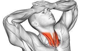 The 15 Most Effective Exercises for Neck Pain Relief [upl. by Fulcher518]