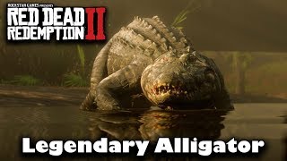 Why Cant I Find the Legendary Alligator  Red Dead Redemption 2 [upl. by Solram125]