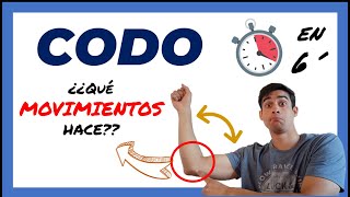 🥇 MOVIMIENTOS DEL CODO  Biomecánica  Anatomia  Humerocubital flexion y extension [upl. by Eradis]