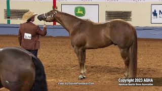 2023 AQHA World Championship Show Select 3YearOld Stallions [upl. by Ewart]