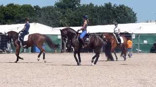 Charlotte Dujardin and Valegro  Hickstead August 2013 [upl. by Sllew]