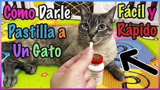 CÓMO DARLE UNA PASTILLA A UN GATO TU SOLO FÁCIL Y RÁPIDO  SiamCatChannel [upl. by Dlonra435]