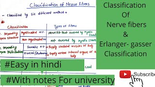 Classification of nerve fibers types of nerve fibersErlangergasser classification [upl. by Ajile]