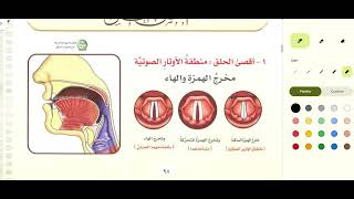 1 Tajweed articulation points Throat deep throatvocals cords [upl. by Grose]