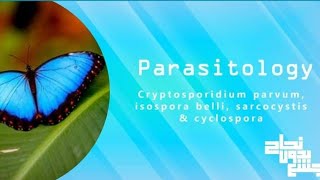 cryptosporidium Isospora cyclospora sarcocystis  para L9  revision [upl. by Bergwall955]