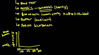 Lactate Threshold [upl. by Yggam]