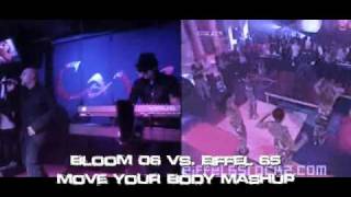 Bloom 06 vs Eiffel 65  Move Your Body Mash Up [upl. by Anpas]