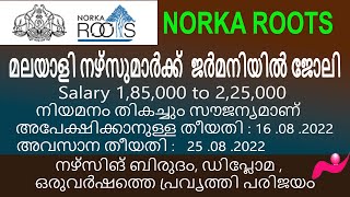 Norka roots job vacancies Nursing post for Germanynewinfonorkaroots [upl. by Kellie605]