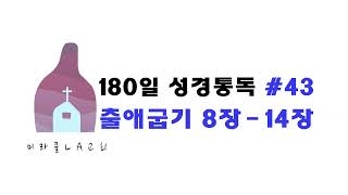 미라클 LA교회 통독 180일 43 출애굽기 8장  14장 [upl. by Joya49]