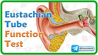 Eustachian Tube Function Tests Animation👂 ENT lectures MBBS 3rd year [upl. by Ardnuaed]