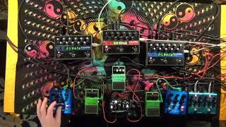 Bastle Bestie 💈Feedback Loop 💈 Strymon Cloudburst 🐋 [upl. by Crist]